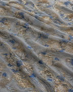 Light Blue & Gold Jacquard Material